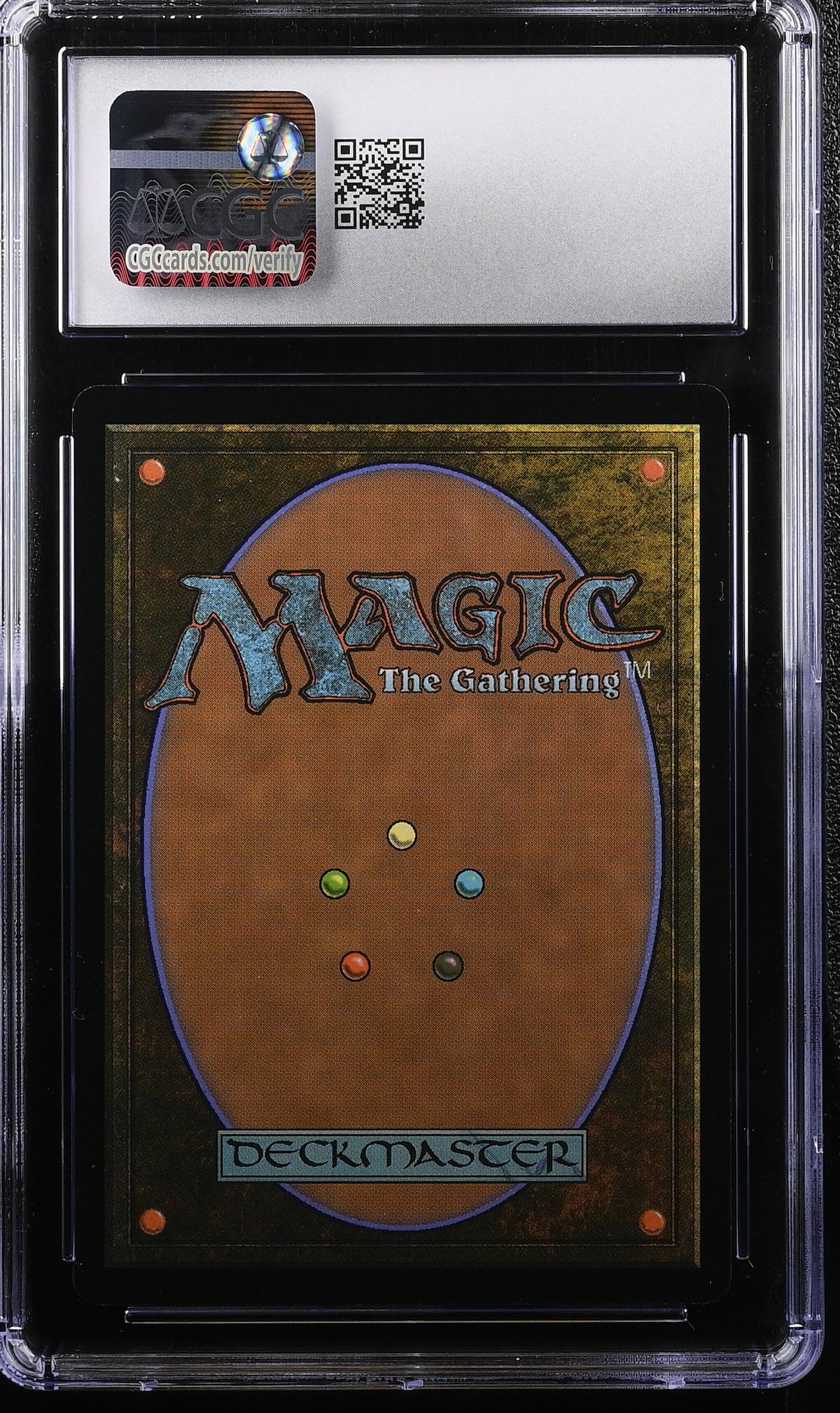 Jackdaw Extended Art 4/4 2024 Magic: The Gathering Assassin's Creed #0167