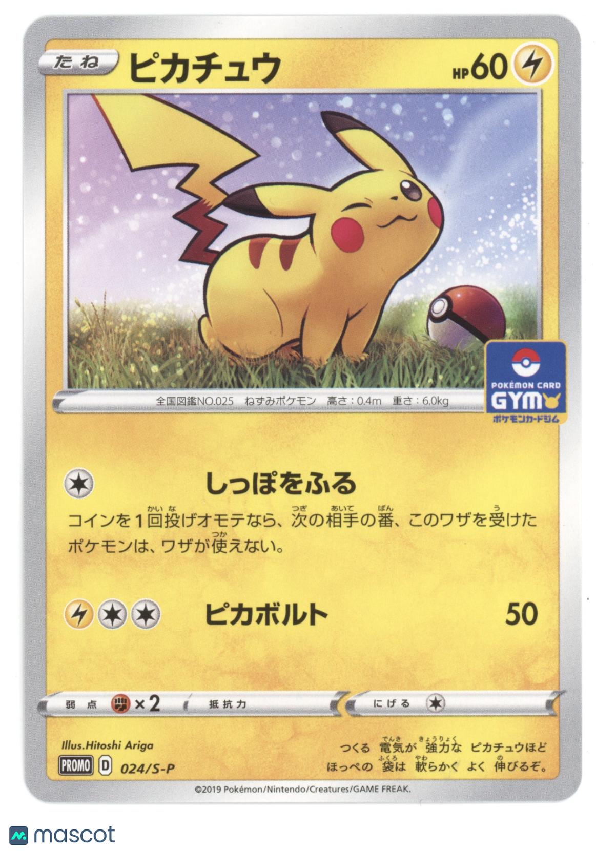 2019 S-P Promotional Cards Pikachu Black Star Promo Japanese #024/S-P