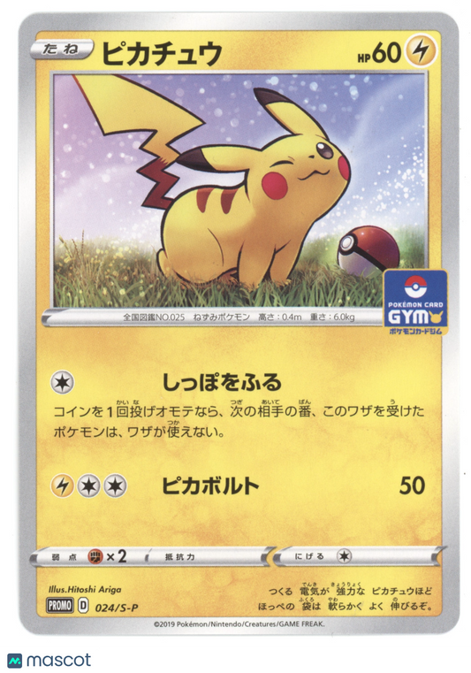 2019 S-P Promotional Cards Pikachu Black Star Promo Japanese #024/S-P