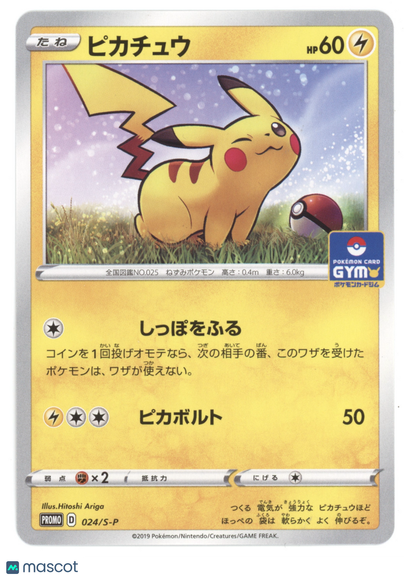 2019 S-P Promotional Cards Pikachu Black Star Promo Japanese #024/S-P